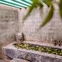 Горящие туры в отель Jetwing Ayurveda Pavilions - 5