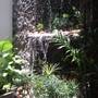 Горящие туры в отель Frangipani Fine Arts Hotel  - 4