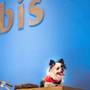 Горящие туры в отель Ibis Bengaluru Hosur Road  - 5