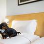 Горящие туры в отель Ibis Bengaluru Hosur Road  - 6