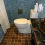 Горящие туры в отель Golden Lotus Luxury Hotel - 5