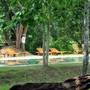Горящие туры в отель The Other Corner Habarana  - 6