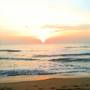 Горящие туры в отель New Wadduwa Beach Resort - 2