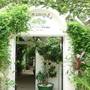 Горящие туры в отель The Little Garden Villa  - 1