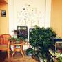 Горящие туры в отель Seven Seas Youth Hostel  - 5