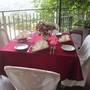 Горящие туры в отель Tamarind Tree Inn Kandy  - 3