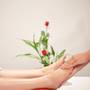 Горящие туры в отель La Rose Boutique & Spa  - 5