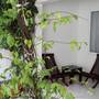 Горящие туры в отель Skyline Boutique Hotel  - 1
