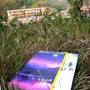 Горящие туры в отель Guilin Dozy Cat Hostel  - 2