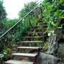 Горящие туры в отель Guilin Dozy Cat Hostel  - 4