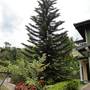 Горящие туры в отель Nilmini Holiday Resort  - 5