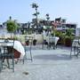 Горящие туры в отель Hotel Bani Park Palace  - 4