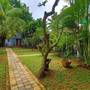 Горящие туры в отель Hotel Susantha Garden - 5