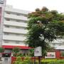 Горящие туры в отель Red Fox Hotel, Jaipur - 1
