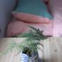 Горящие туры в отель Oldtimes Youth Hostel  - 3