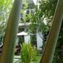 Горящие туры в отель Frangipani Villa-90s  - 1