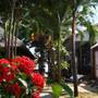 Горящие туры в отель Mai Am Guest House  - 4