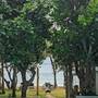Горящие туры в отель Oasey Beach Hotel - 2