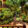 Горящие туры в отель Viet Thanh Resort, Duong Dong Town - 3