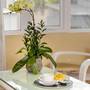 Горящие туры в отель Chalcedony Hotel - 6