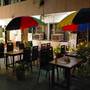 Горящие туры в отель Hotel Sidhartha  - 5