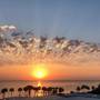Горящие туры в отель Constantinos The Great Beach - 2