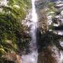 Горящие туры в отель Permai Rainforest Resort  - 5