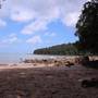 Горящие туры в отель Permai Rainforest Resort  - 4