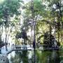 Горящие туры в отель Permai Rainforest Resort  - 3
