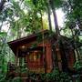 Горящие туры в отель Permai Rainforest Resort  - 6