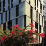 Горящие туры в отель Aspira Hiptique Sukhumvit 13 - 4