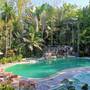 Горящие туры в отель Sepilok Jungle Resort, Sandakan - 1