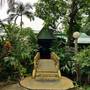 Горящие туры в отель Sepilok Jungle Resort, Sandakan - 3