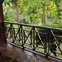 Горящие туры в отель Sepilok Jungle Resort, Sandakan - 6
