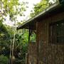 Горящие туры в отель Sepilok Jungle Resort, Sandakan - 2