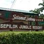 Горящие туры в отель Sepilok Jungle Resort, Sandakan - 4