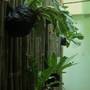 Горящие туры в отель Woodpecker Lodge  - 1