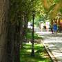 Горящие туры в отель ГК Golden Resort - 2