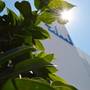 Горящие туры в отель Island Boutique Hotel - 5