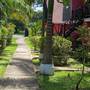 Горящие туры в отель Secrets Cabins on Negril Beach  - 6
