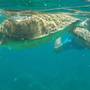 Горящие туры в отель Malama Beach Holiday Village  - 5