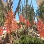 Горящие туры в отель Malama Beach Holiday Village  - 4