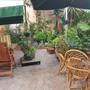 Горящие туры в отель Batumi Globus Hostel  - 4