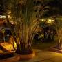 Горящие туры в отель Sunrise Club Hotel - 4