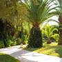Горящие туры в отель Eden Yasmine Resort & Spa - 3