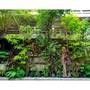 Горящие туры в отель Mac Garden Resort & Restaurant  - 4