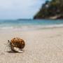 Горящие туры в отель Anda Lanta Resort - 5