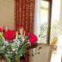 Горящие туры в отель Park Hotel Villa Ariston - 2