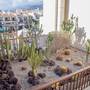 Горящие туры в отель Royal Sunset Beach Club By Diamond Resorts - 2