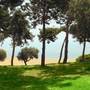 Горящие туры в отель Trikorfo Beach - 4